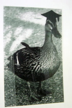 acrylic printing