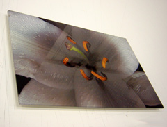 acrylic printing