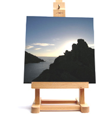 canvas print